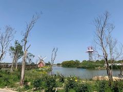 -海上花岛玫瑰园采摘