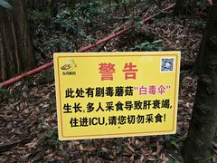 -东莞市大岭山森林公园