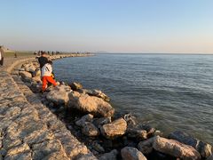 -合肥滨湖国家森林公园