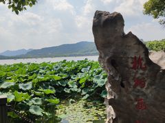 -西湖游船