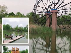 -泗洪洪泽湖湿地景区