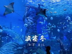 -哈尔滨波塞冬海底世界