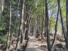 -火炉山森林公园