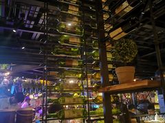 -胡桃里乐队酒馆(农科路店)