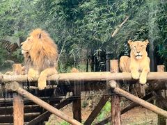 -泉州海丝野生动物世界