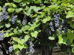 -哈尔滨商业大学(南校区)