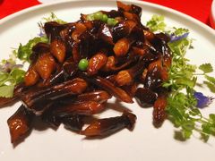 油焖鸡枞菌-106餐厅(山水文园店)