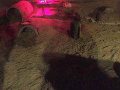 -清迈夜间动物园