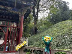-武侯墓风景区