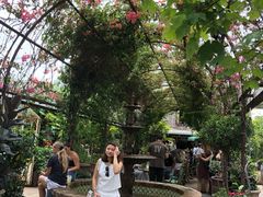 -The Grounds of Alexandria