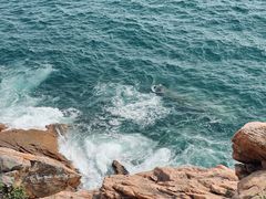 -广东惠东海龟国家级自然保护区