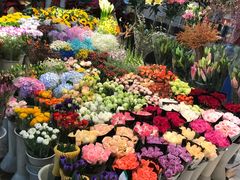 -双季花艺园艺市场(浦东店)