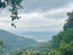 -梧桐山风景名胜区