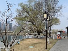 -西海子公园