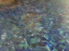 -泉城欧乐堡戏水湾艺术养生温泉