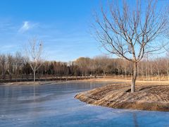 -永定河休闲森林公园