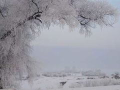 -雾凇岛