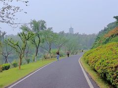 -宜兴龙背山森林公园
