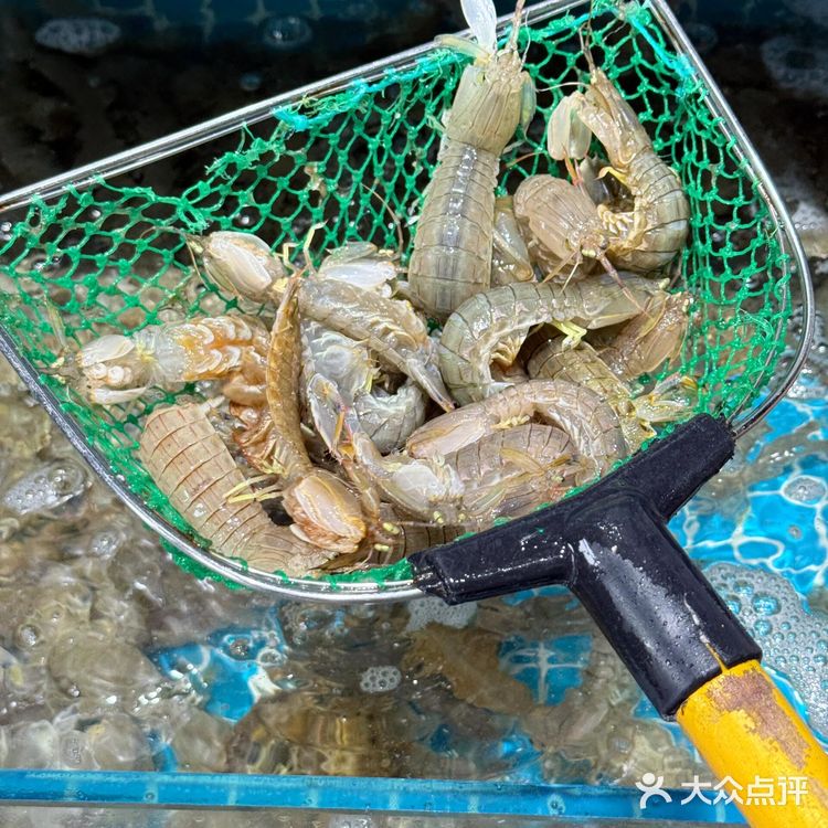 顺百意·海鲜大馅饺子,鸽子窝公园旁的海鲜宝藏