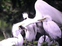 -奥斯卡西元国际影城(4K激光巨幕&杜比全景声沙发座椅)