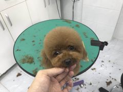 -欧奕国际动物医院