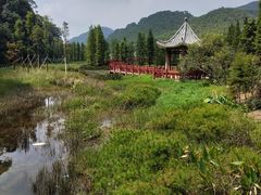 -广州市石门国家森林公园