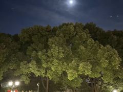 -上海虹桥迎宾馆