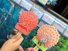 -西双版纳原始森林公园