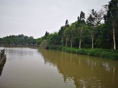 -大湾区中央湿地公园