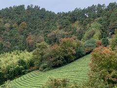 -敬亭山风景名胜区