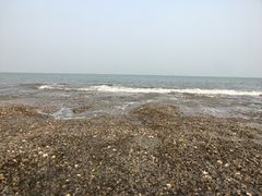 -金沙滩海水浴场(万平口景区4号门扬帆广场店)