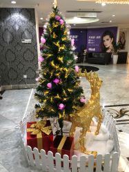 -深圳春天阳光医院·轮廓抗衰中心