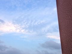 -中山大学学者灵芝(园南路店)