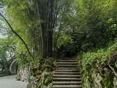 -江心屿景区