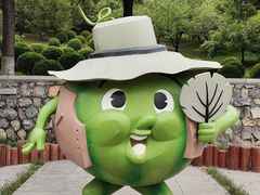 -河北省园博园