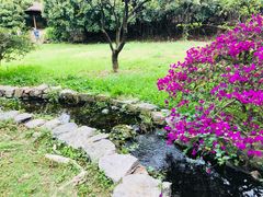 -茂德公草堂
