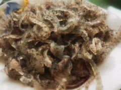 -雪湖煜辰鱼头老店(雪野湖店)