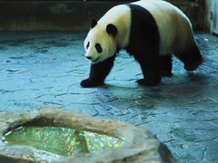 -上海野生动物园