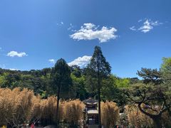-红螺寺