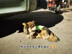 -伊隆斋(什刹海店)