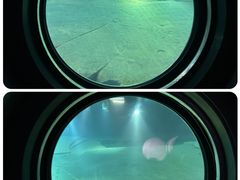 -白鹤梁水下博物馆