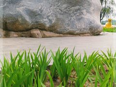 -野鸭湖国家湿地公园