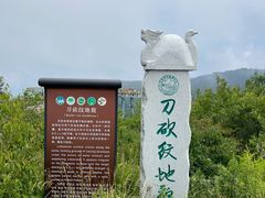 -王莽岭风景区