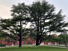 -北京市劳动人民文化宫(太庙)