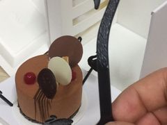 -BLACKSWAN黑天鹅(环球店)