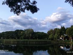 -金银湖国家城市湿地公园