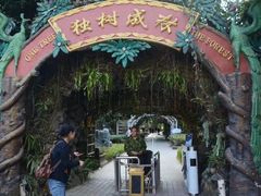 -瑞丽独树成林风景区