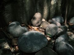 -花溪风景区
