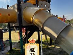 -菊园百果园