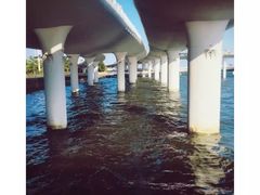 -演武大桥观景平台